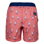 Anemoss Coastal Breeze Men's Swim Shorts