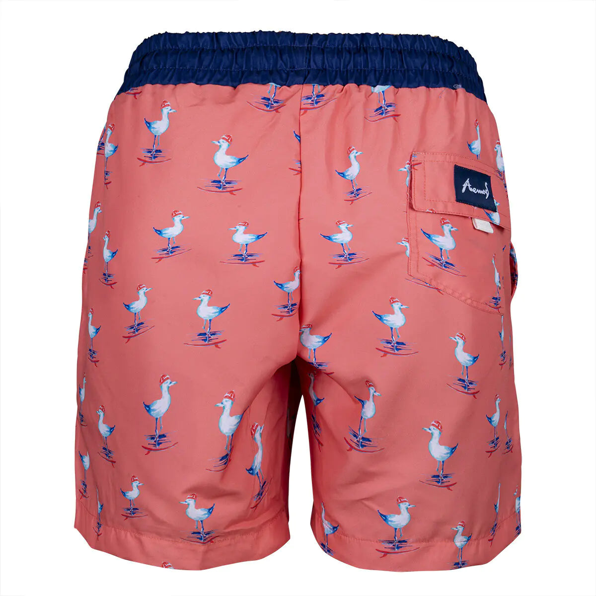 Anemoss Coastal Breeze Men's Swim Shorts