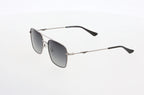 Hawk Vision-Sharp Metallic Sunglasses