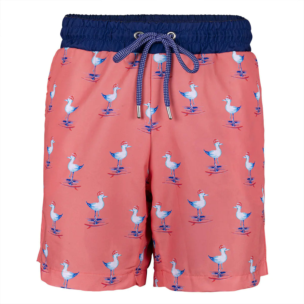 Anemoss Coastal Breeze Men's Swim Shorts