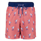 Anemoss Coastal Breeze Men's Swim Shorts