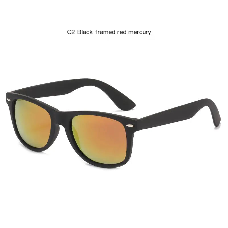 Eclipse Polarized Shades