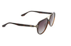 Hawk Geometric Brown Polarized Sunglasses